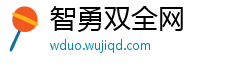 智勇双全网